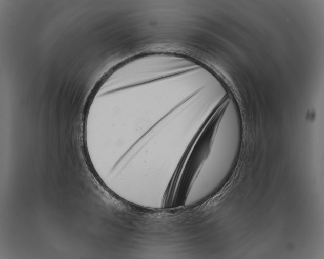 X0000088890992200707061428