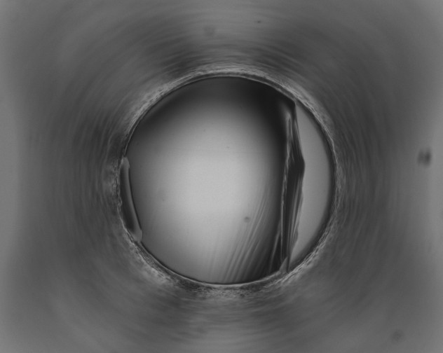 X0000088890993200707061428