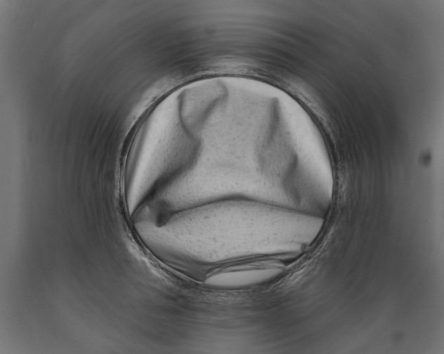 X0000088890994200707061428