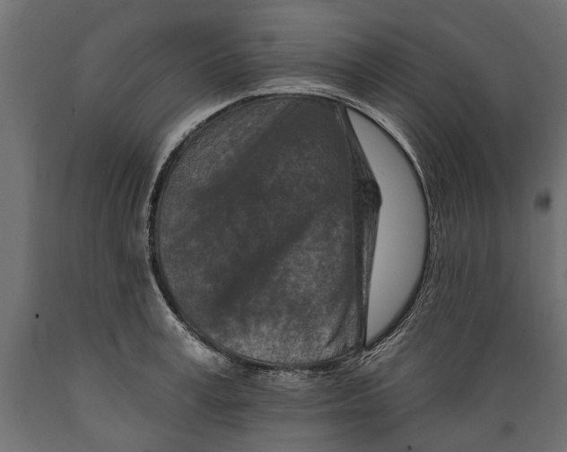 X0000088890995200707061428