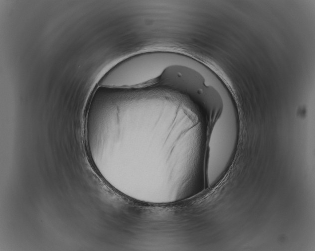 X0000088890996200707061428
