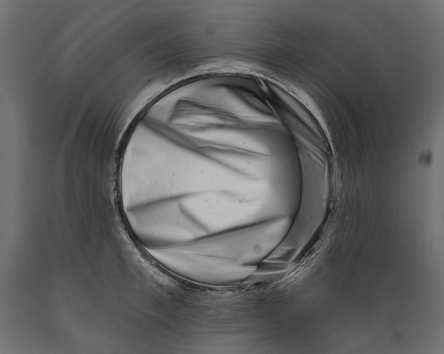 X0000088890997200707061428
