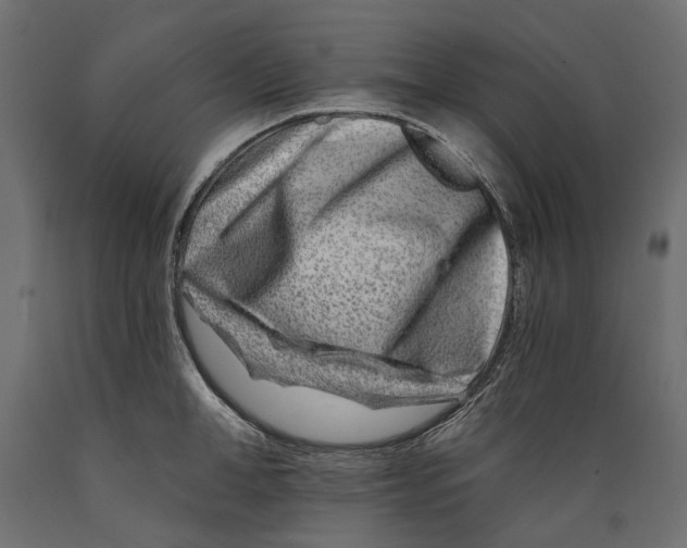 X0000088890998200707061428