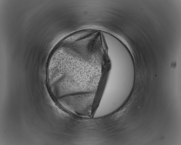 X0000088890999200707061428
