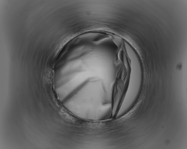 X0000088891001200707061428