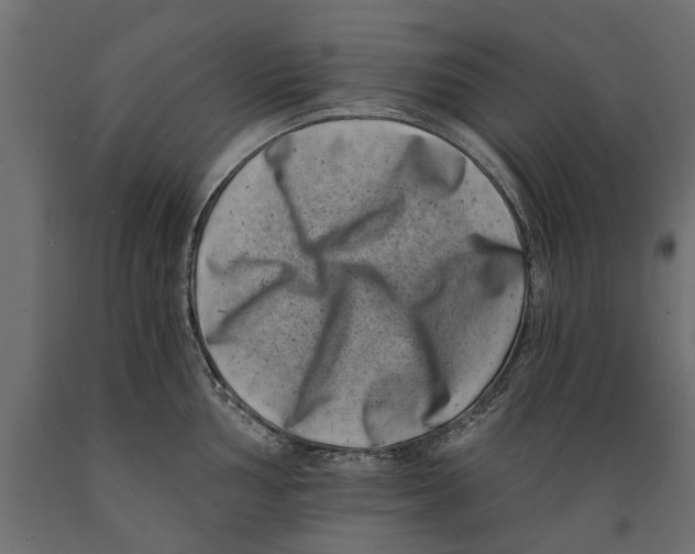 X0000088891002200707061428