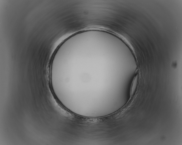 X0000088891003200707061428