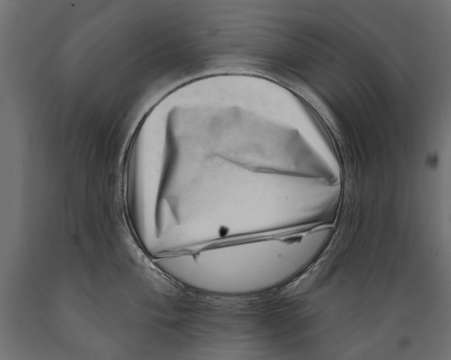 X0000088891004200707061428