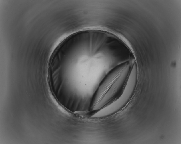 X0000088891005200707061428