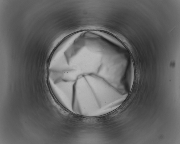 X0000088891006200707061428