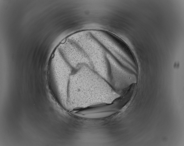 X0000088891008200707061428