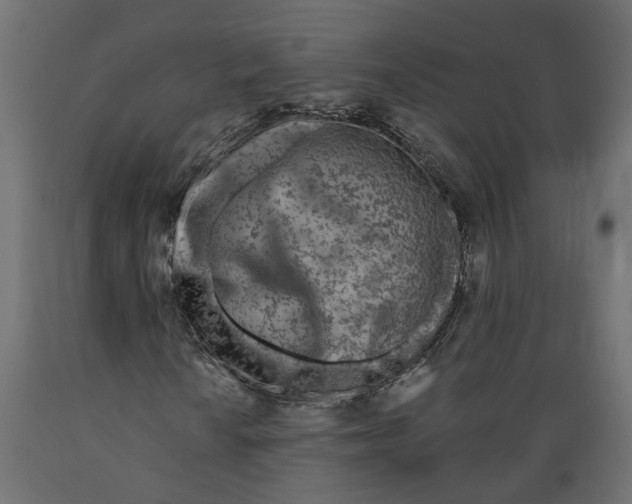 X0000088891010200707061427