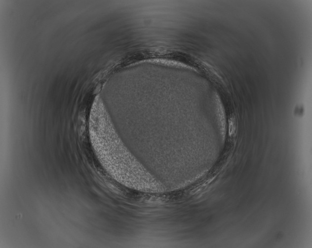 X0000088891011200707061427