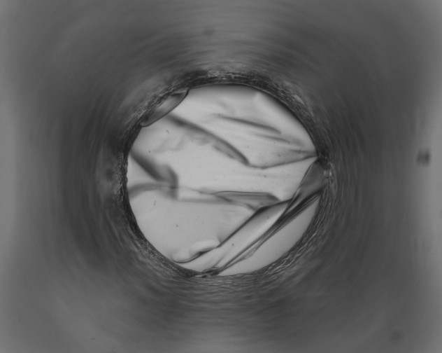 X0000088891012200707061427