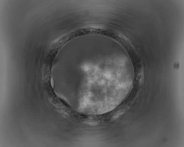 X0000088891014200707061427