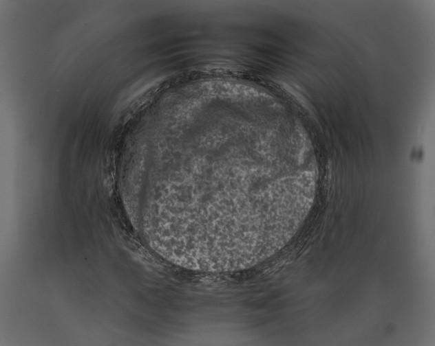 X0000088891015200707061427