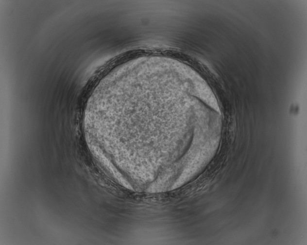 X0000088891016200707061427