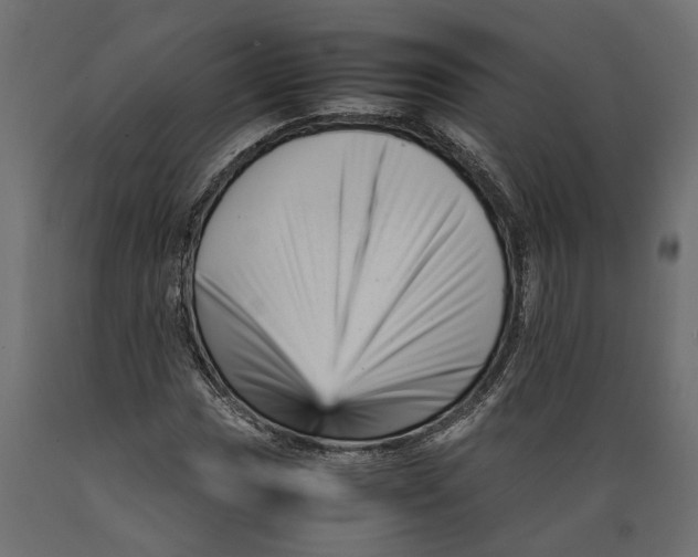 X0000088891017200707061427