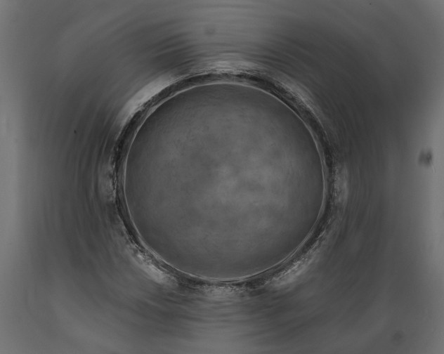 X0000088891018200707061427