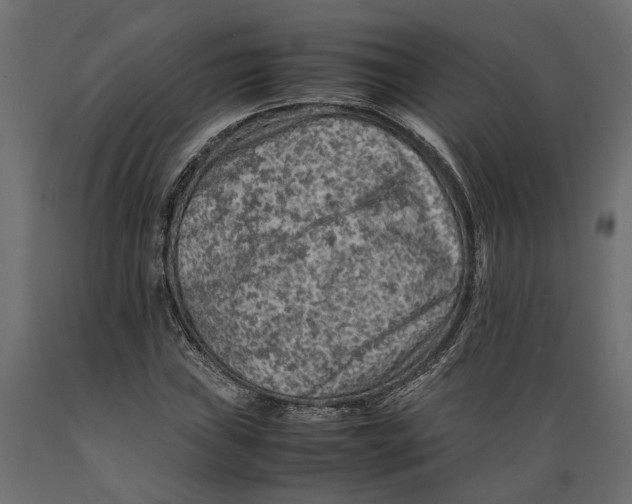 X0000088891019200707061427