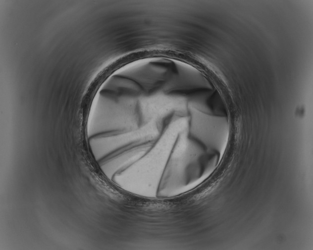 X0000088891021200707061427