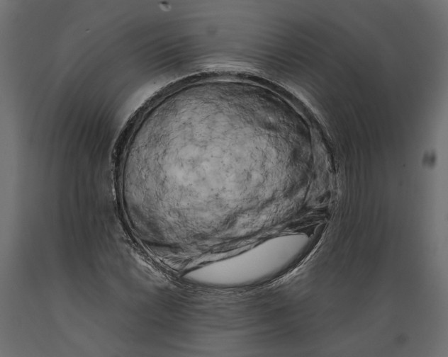 X0000088891022200707061427