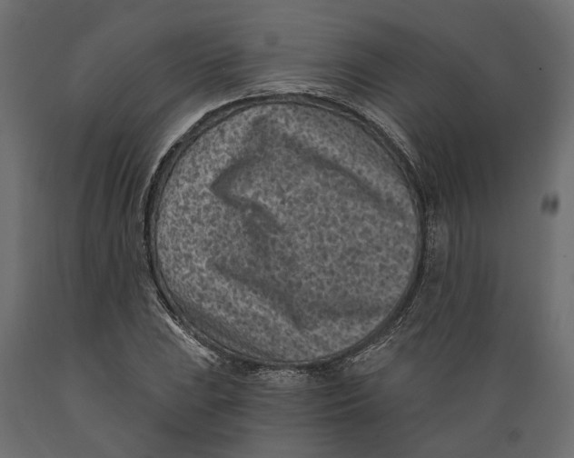 X0000088891023200707061427