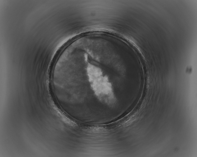 X0000088891024200707061427