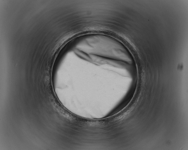 X0000088891025200707061427