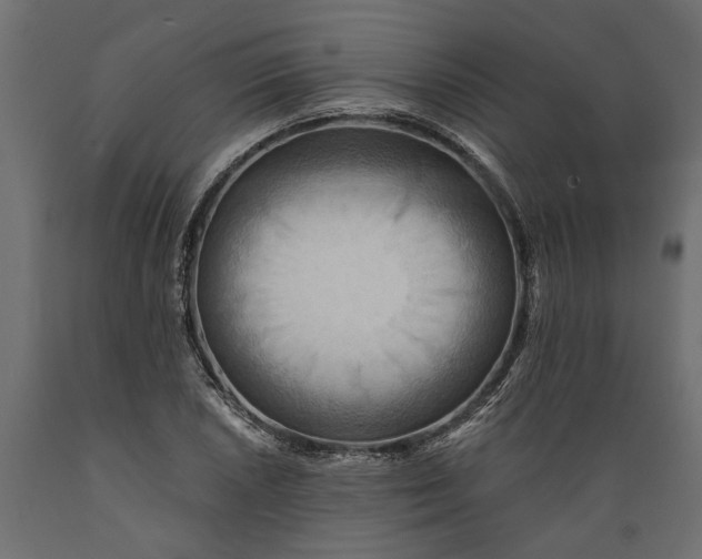 X0000088891026200707061427