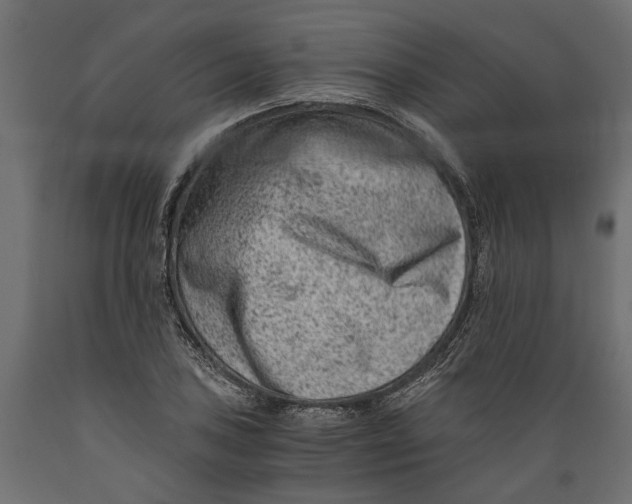 X0000088891027200707061427