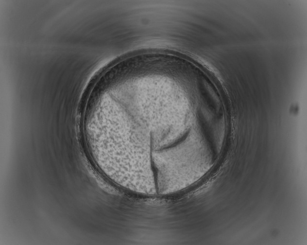 X0000088891029200707061427