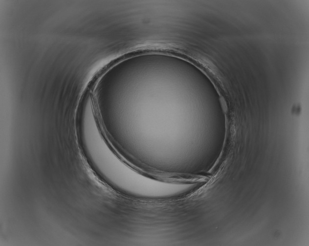 X0000088891030200707061427
