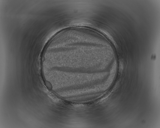 X0000088891031200707061427