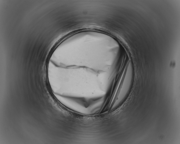 X0000088891032200707061427