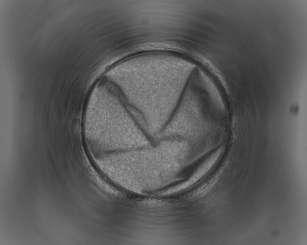X0000088891033200707061427