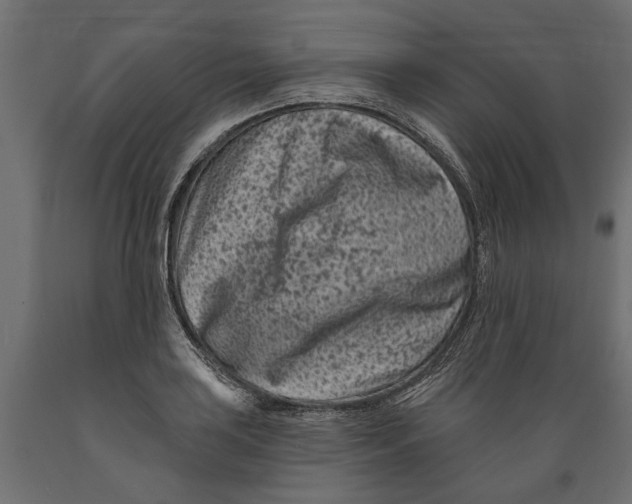 X0000088891035200707061427