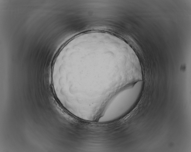 X0000088891036200707061427