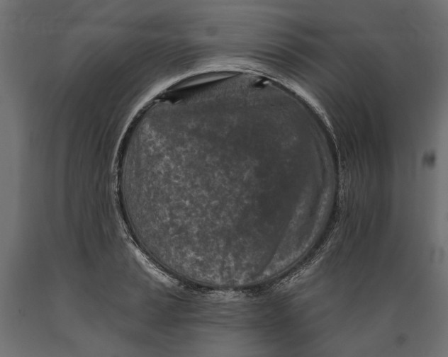 X0000088891037200707061427