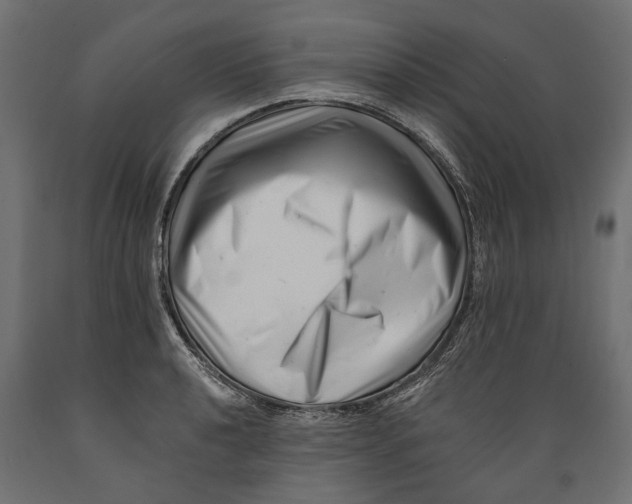 X0000088891040200707061428
