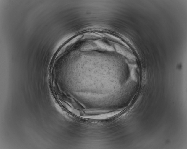 X0000088891042200707061428
