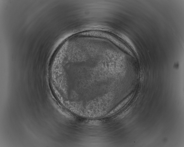 X0000088891043200707061428