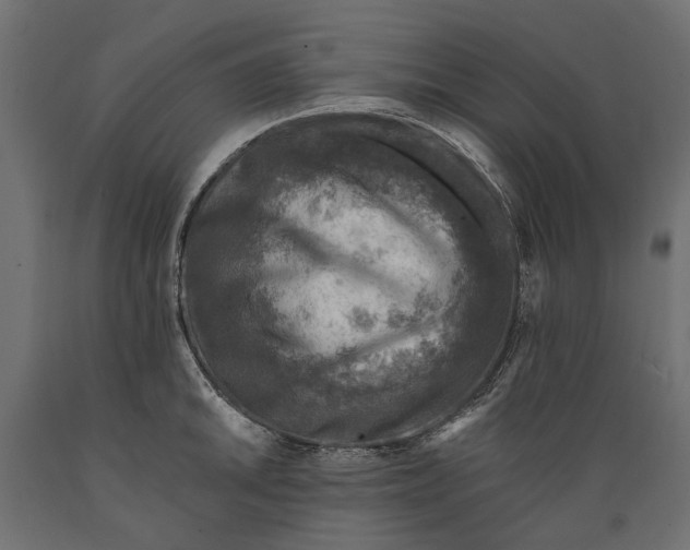 X0000088891046200707061428