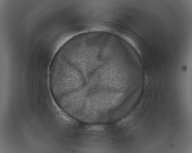 X0000088891047200707061428