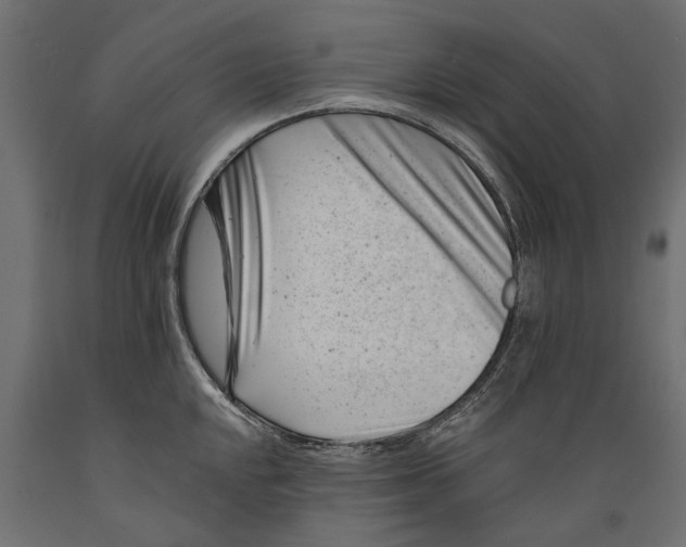 X0000088891048200707061428