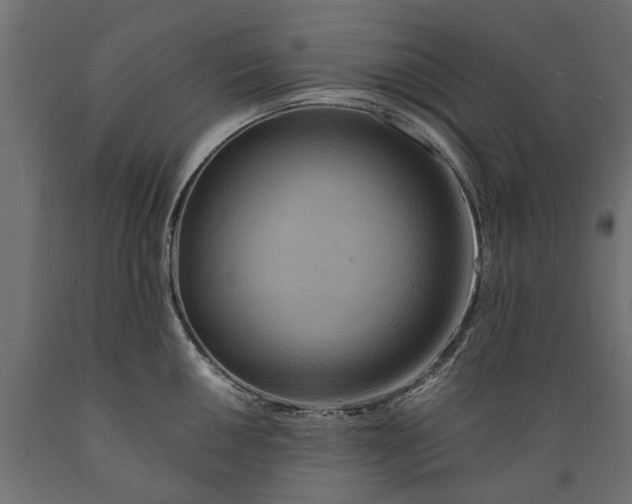 X0000088891050200707061428