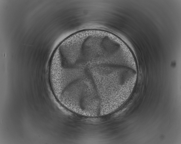 X0000088891053200707061428