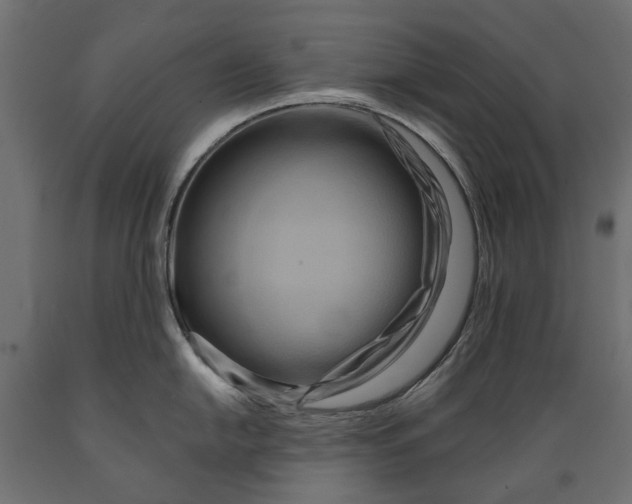 X0000088891054200707061428
