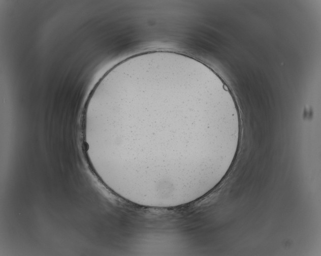 X0000088891056200707061428