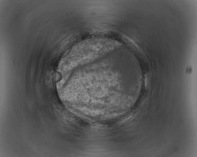 X0000088891059200707061427